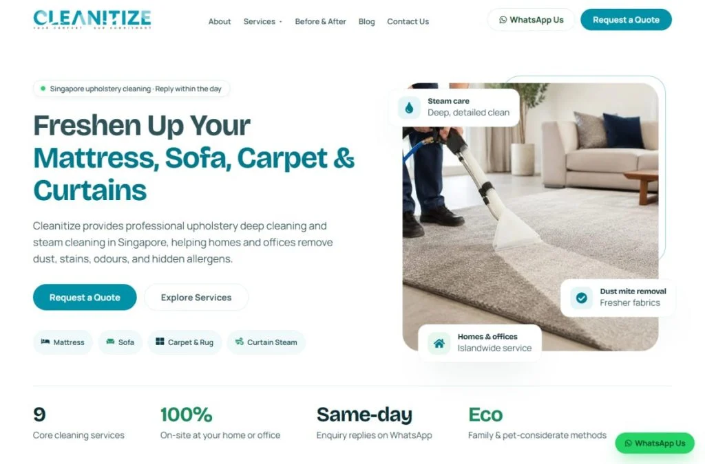 Cleanitize website homepage